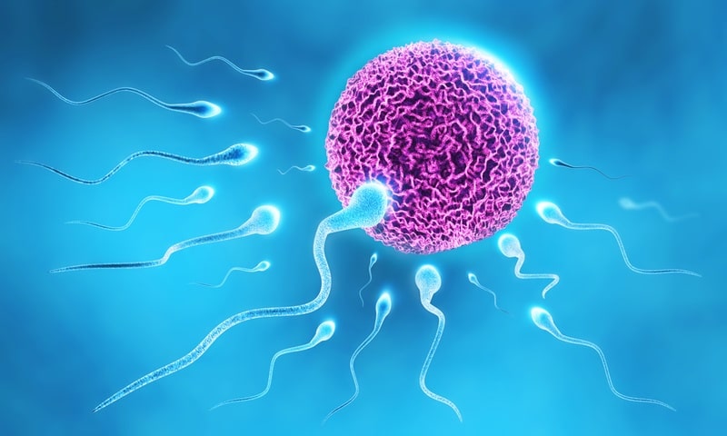 Homeopathy Treatment for Infertility In Kurnool